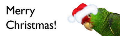 Parrots for Christmas? merry christmas polly