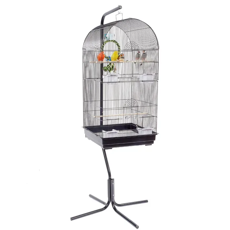 Rainforest Caracas Bird Cage - Image 2