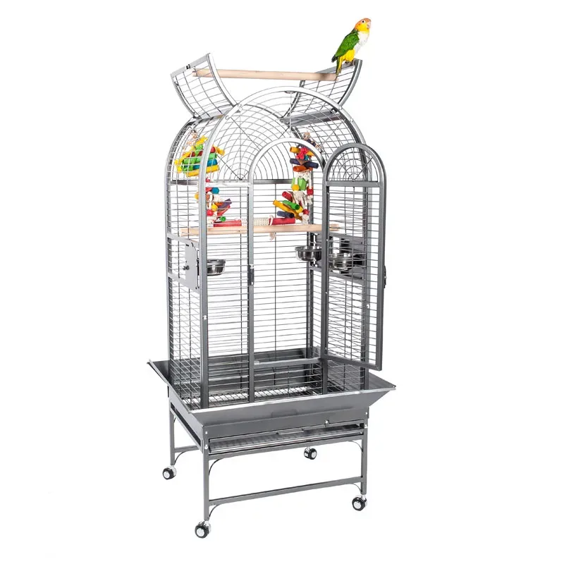 Rainforest Ecuador Parrot Cage Antique Special