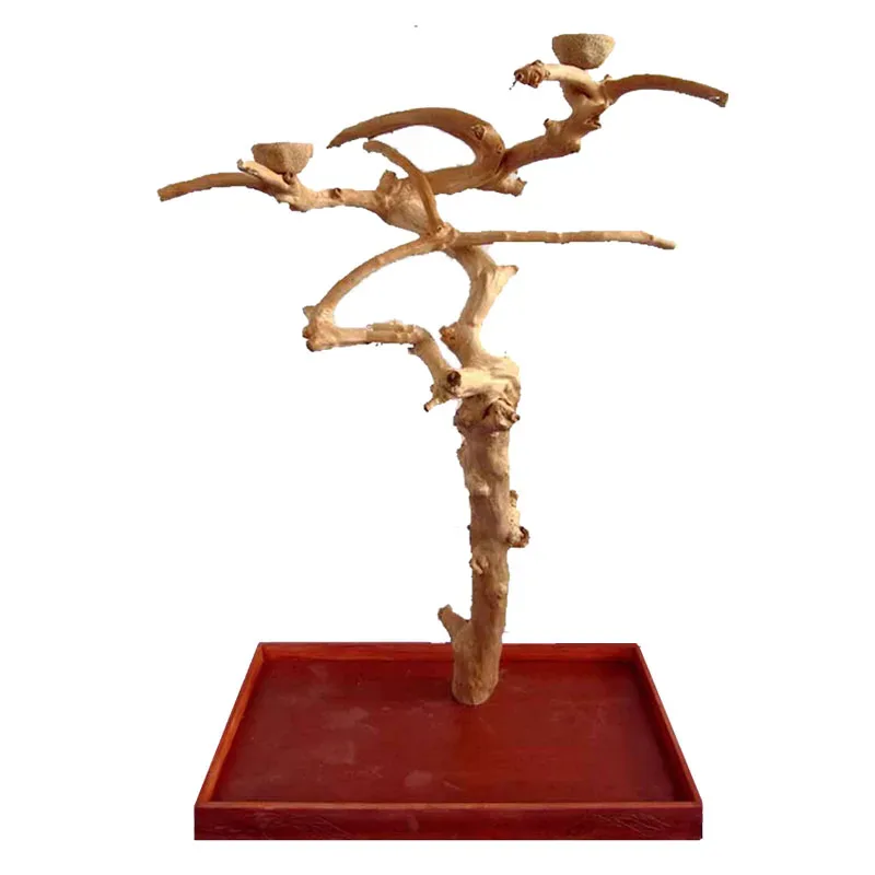 Natural Java II Tree & Base – Medium