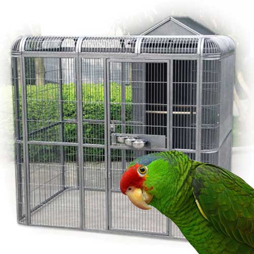Parrot Cages & Bird Cages For Sale