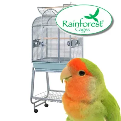 Rainforest Bird Cages