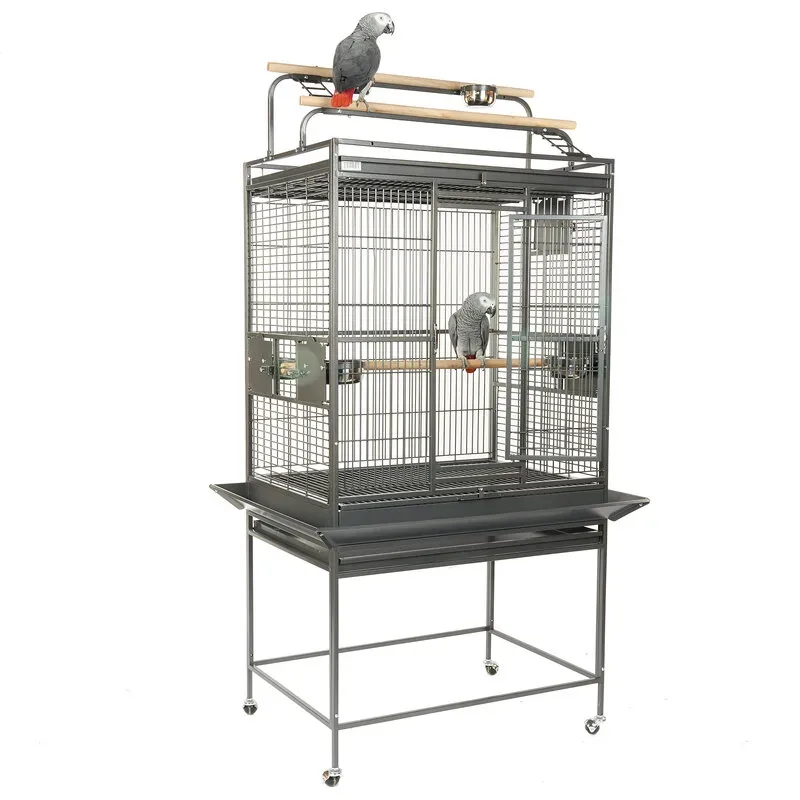 dakota antique parrot cage